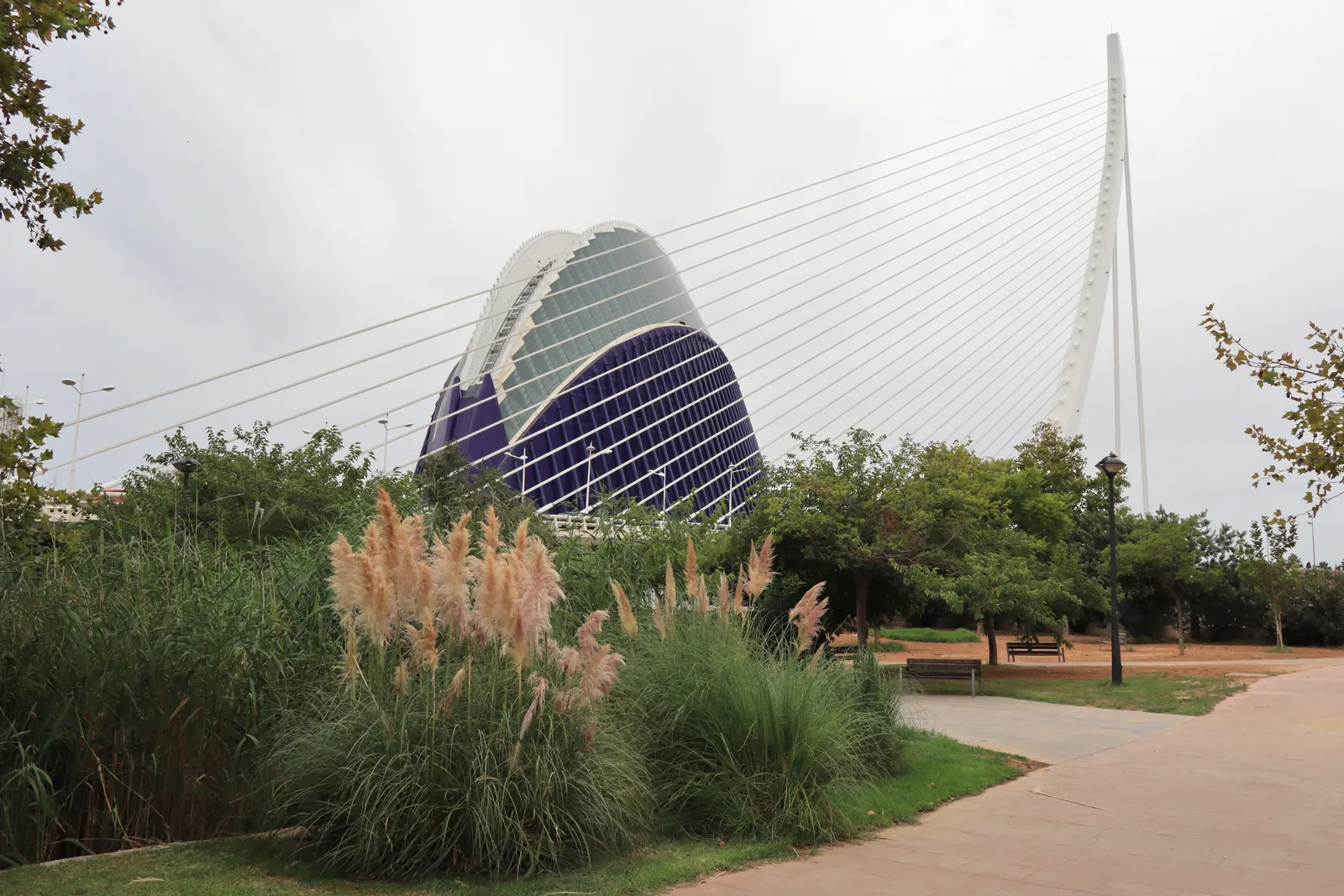 Modern building and a bridge seen across the Turia gardens in Valencia, with trees in the foreground.