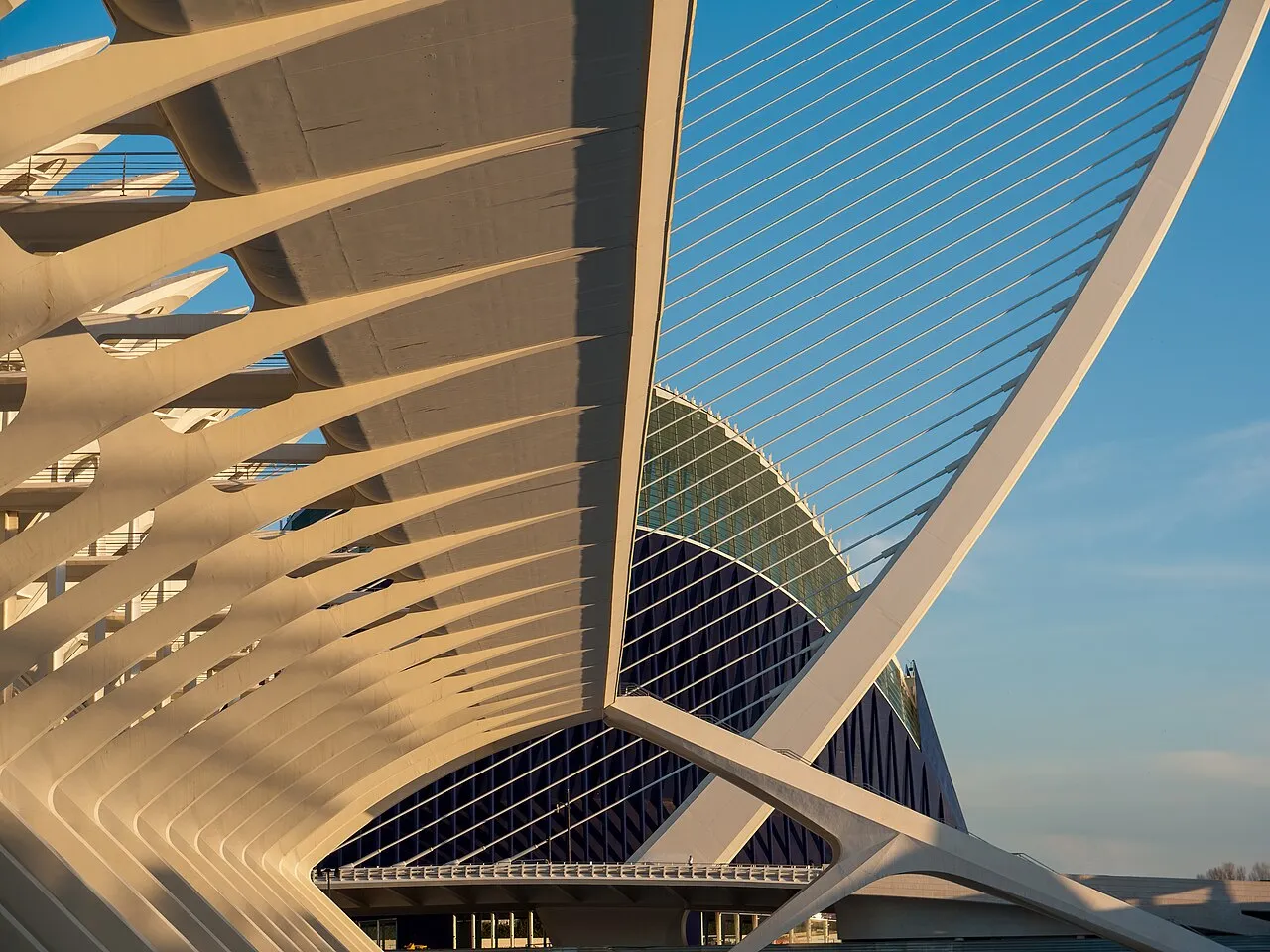 White curved ribs of the Ciutat de les Arts i les Ciencies against a blue sky.